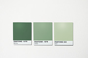 Pantone Colour Scheme Mockup, a Wearable Device Mockup by Tropical Type (Thumbnail 3 of 6)