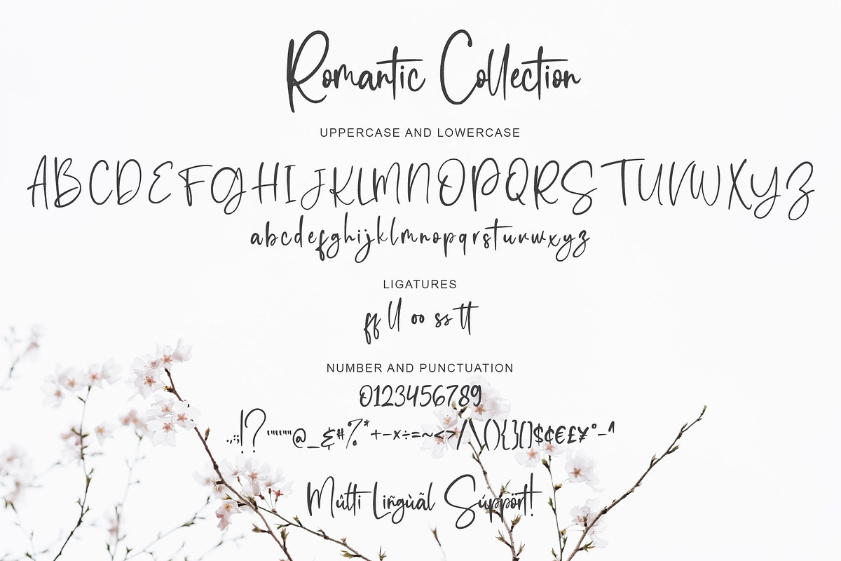 Romantic Collection, a Script Font by alphArtype (Photo 5 of 6)