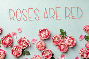 CLN - Royally - A Fun Script, a Script Font by CraftyLittleNodes (Thumbnail 6 of 8)