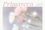 PRIMAVERA - Soft Floral Backgrounds, a Background Graphic by alenaganzhela (Thumbnail 1 of 8)