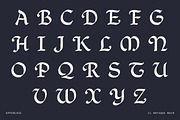 Decorative Medieval Blackletter Font, a Script Font by Century Library (Thumbnail 8 of 12)