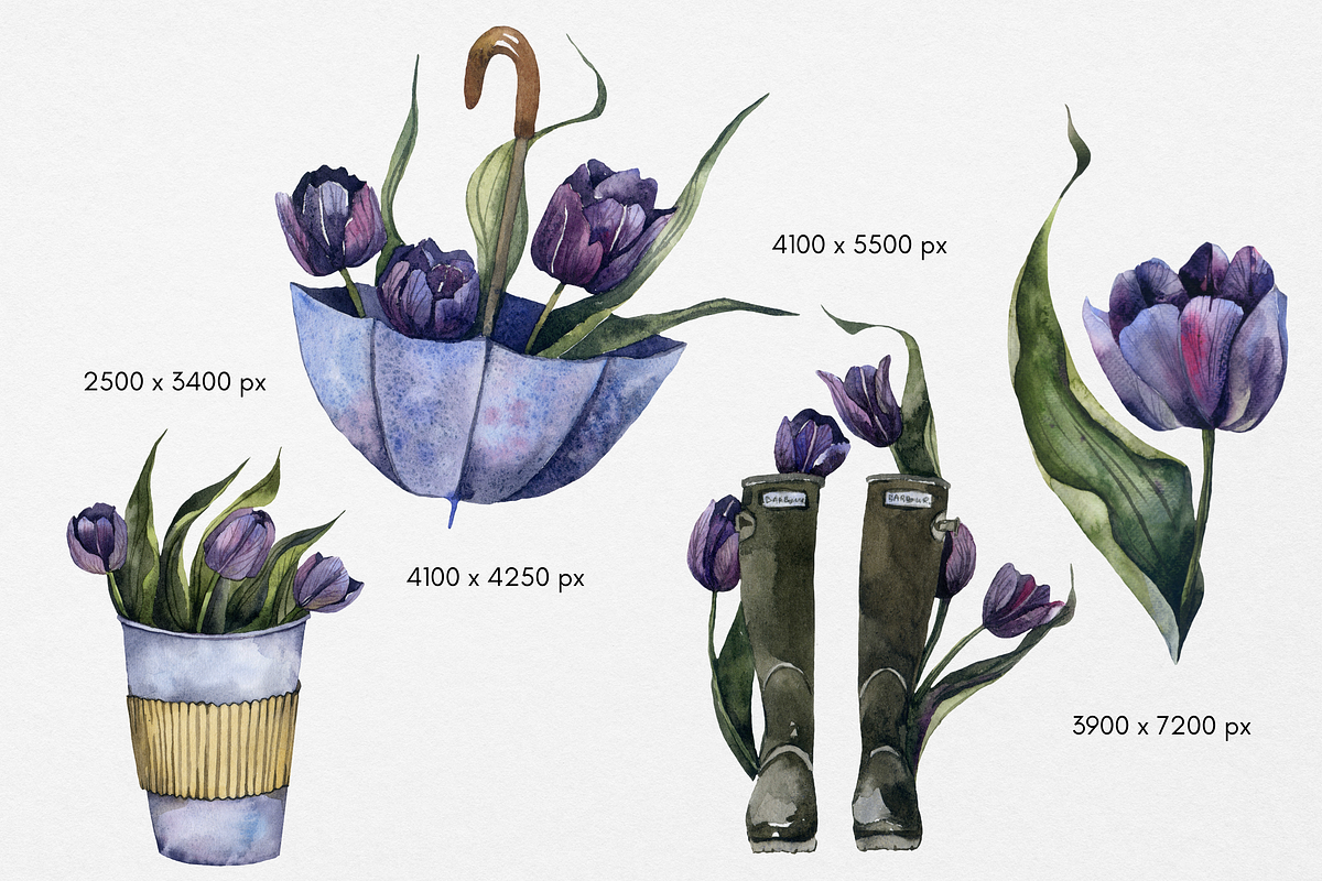 Tulips rainy watercolor clipart, an Object Graphic by Artcard Watercolor (Photo 4 of 5)