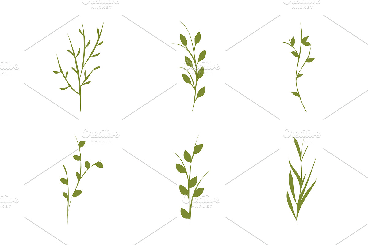 Green plant stems set simple nature, an Object Illustration by okskukuruza