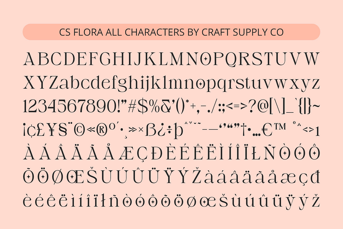 CS Flora – Elegant Font, a Serif Font by Craft Supply Co. (Photo 8 of 8)