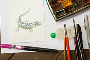 Watercolor zoo animals vector set, an Animal Illustration by miminoshka (Thumbnail 6 of 9)