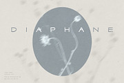 Diaphane - Blurry Floral Backgrounds, a Background Graphic by alonahaidash (Thumbnail 3 of 16)