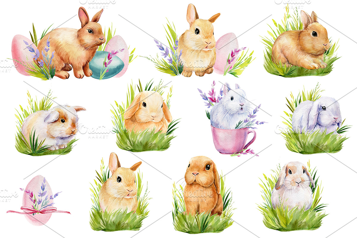 Fluffy bunnies. Watercolor painting, an Animal Illustration by Hanna Hryharenka (Photo 10 of 17)