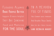 SUNGARDEN Complete Pack, a Symbol Font by Juraj Chrastina (Thumbnail 11 of 12)