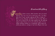Centennial Script Fancy PACK, a Blackletter Font by Intellecta Design (Thumbnail 4 of 5)
