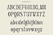 Channery - Modern Ligatures Font, a Serif Font by Say Studio (Thumbnail 12 of 13)