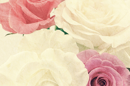 Sweet color rose containing abstract, spa, and background, a Nature Photo by number1411