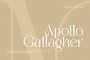 Miglen Elegant Serif Font, a Serif Font by Perfectype (Thumbnail 7 of 8)