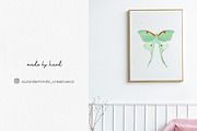 Watercolor Insects, an Animal Illustration by Stacey Shaller (Thumbnail 5 of 6)