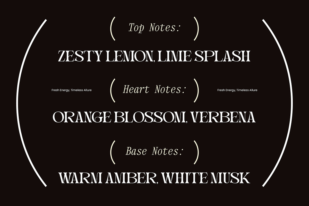 Magdes Modern Display Serif Font, a Serif Font by timelesstype.co (Photo 12 of 15)