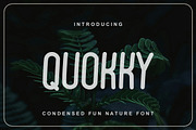 Quokky Condensed Font, a Sans Serif Font by Bayuktx (Thumbnail 1 of 6)