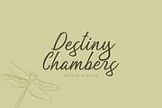 Tahnia - Modern Script, a Script Font by Rillatype Studio (Thumbnail 3 of 10)