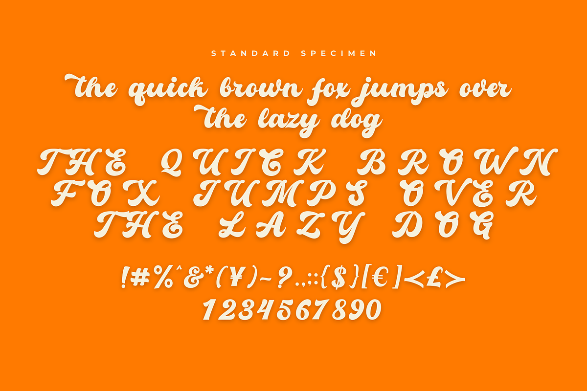 Marjane Logo Font, a Script Font by Basnistudio (Photo 3 of 11)