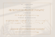 Belle Amour - Modern Calligraphy, a Script Font by Craft Supply Co. (Thumbnail 9 of 9)