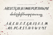 Emellie Script Font, a Script Font by Design Panoply (Thumbnail 2 of 8)