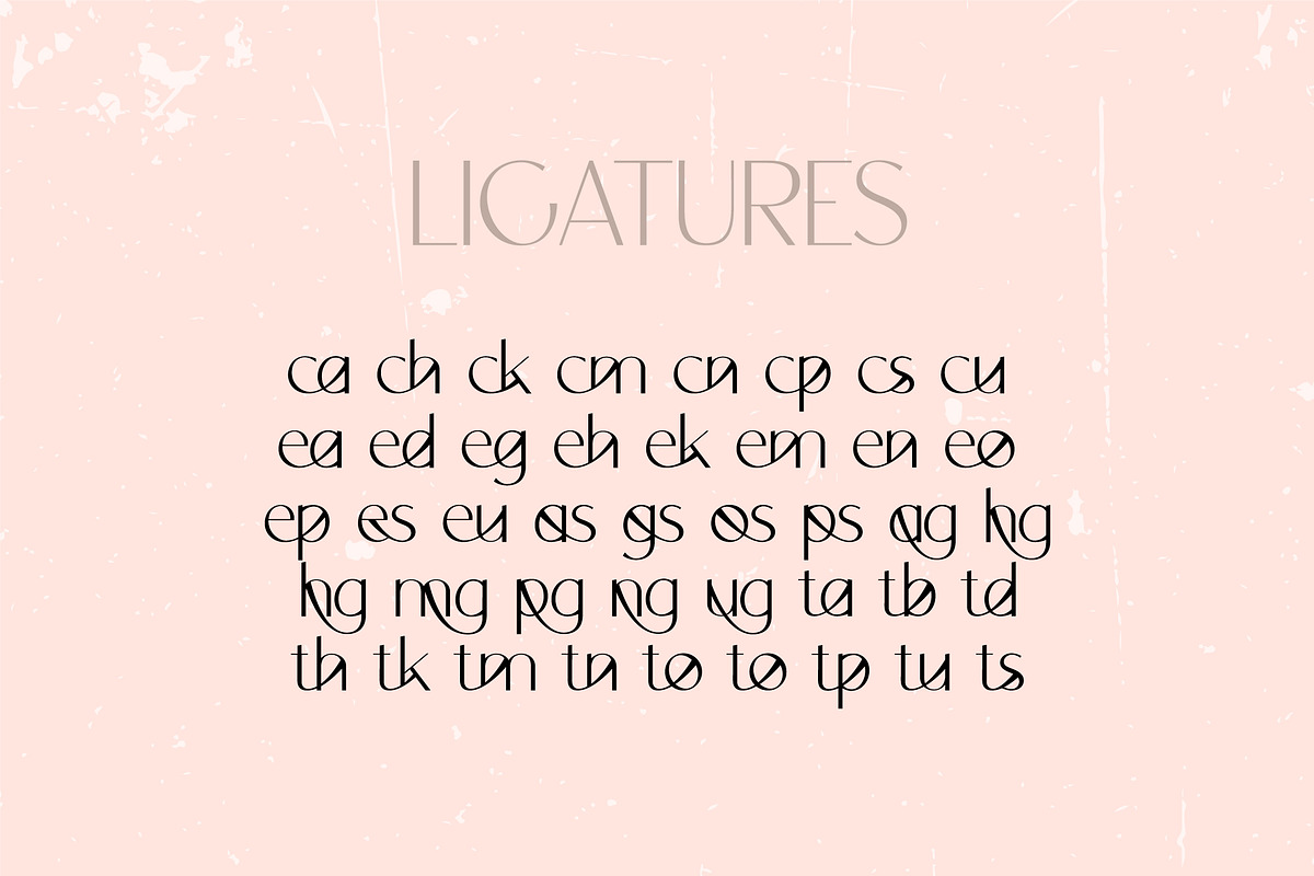 Orchid Sans Serif Font Family, a Sans Serif Font by Anna Zakharchenko (Photo 10 of 12)