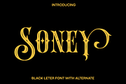 Soney - Blackletter with Alternate, a Blackletter Font by Luna Shop (Thumbnail 1 of 6)