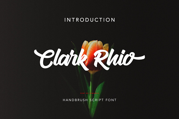 Clark Rhio Script preview 7