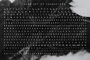 Minimalust Typeface - 2020 UPDATE, a Font by Wandery Supply (Thumbnail 10 of 16)