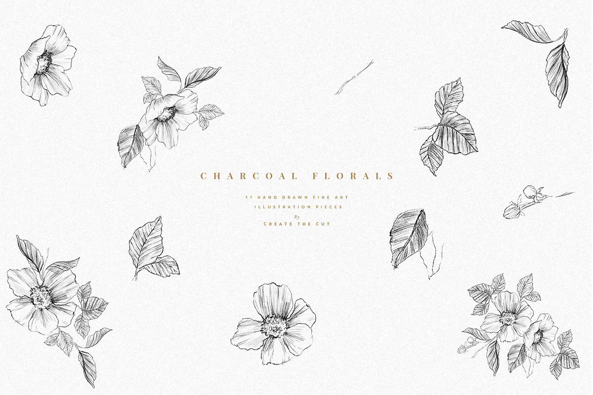 Charcoal Florals, an Illustration by Create The Cut (Photo 3 of 5)