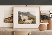 25 Vintage Mammal Prints by Audubon, an Animal Illustration by The Object Atlas (Thumbnail 5 of 10)