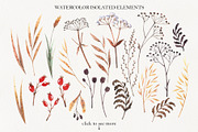 Winter dry plants, an Illustration by Natalia Fedorova (Thumbnail 2 of 8)