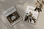 Asvoria – Stylish Serif, a Serif Font by Craft Supply Co. (Thumbnail 5 of 8)
