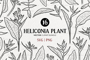 Heliconia Flower Vector Line Art, a Decorative Illustration by MadliArt (Thumbnail 1 of 4)