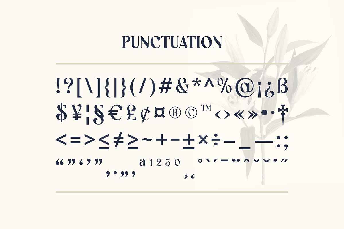 Westiva Fonts Family, a Serif Font by Asenbayu (Photo 13 of 14)