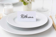 Artyka, a Script Font by Digital Typeface Studio (Thumbnail 8 of 9)