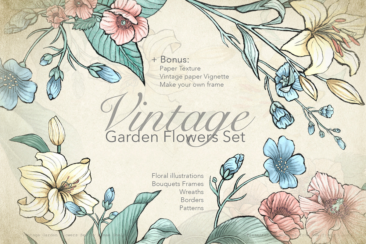 Vintage Garden Flowers, a Decorative Illustration by Evenif (Photo 1 of 22)