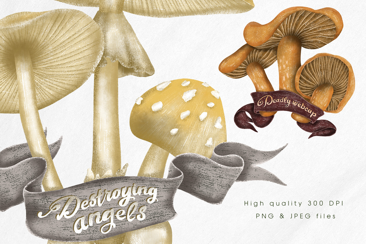 Poisonous mushrooms clipart, an Education Illustration by Yelloo Fish (Photo 6 of 10)
