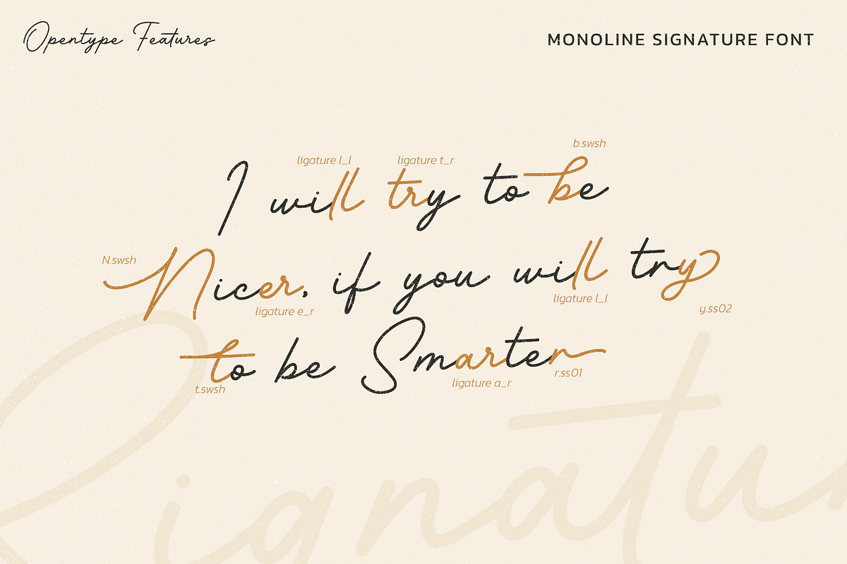 Barethelly Signature, a Script Font by Nathatype (Photo 8 of 10)