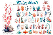 OCEAN BUNDLE, an Animal Illustration by Evgeniia (Thumbnail 14 of 16)