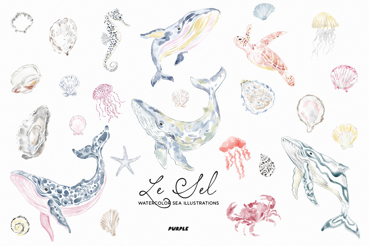 Le Sel: Watercolor Sea Illustrations, a Decorative Illustration by Purple (Photo 9 of 12)