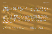 Astero Elegant Ligature Serif Font, a Serif Font by Graphicxell (Thumbnail 8 of 8)