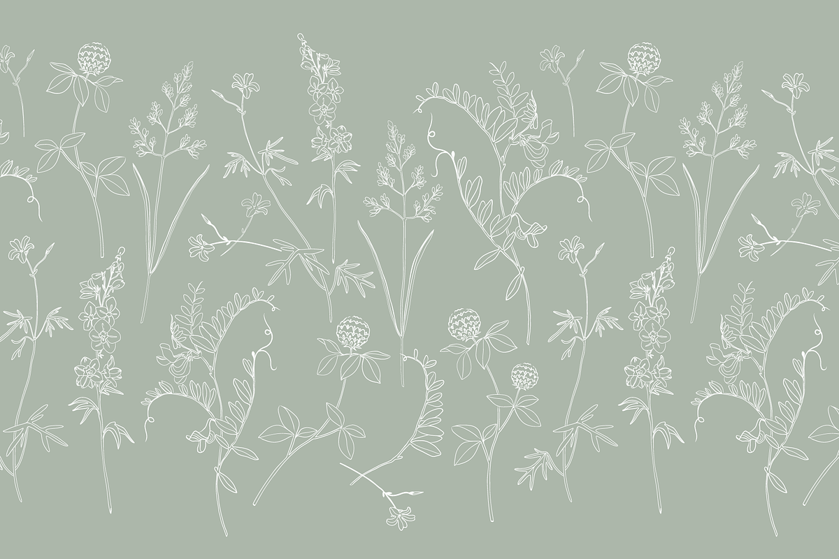 Delicate Herbarium Seamless Patterns, a Pattern Graphic by Maria Budarkiewicz (Photo 2 of 22)