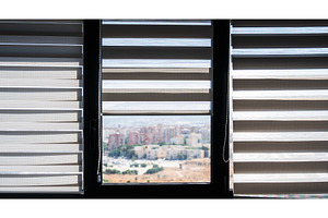 Modern Interior Window With Zebra, an Architecture Photo by volodymyrshtun13795