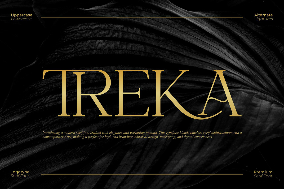Treka || Modern Serif Font, a Serif Font by Ermedia Studio (Photo 1 of 10)