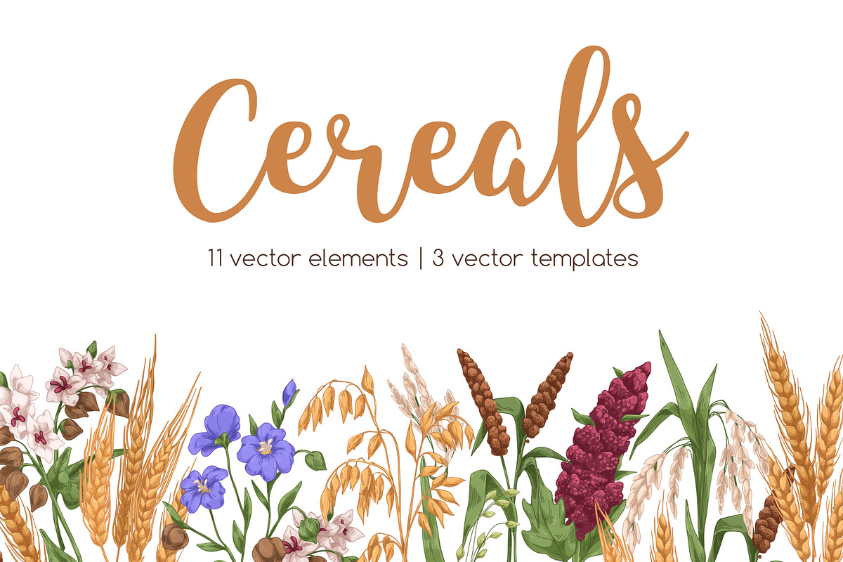 Cereal plants set + backgrounds, a Food Illustration by Good Studio (Photo 1 of 6)