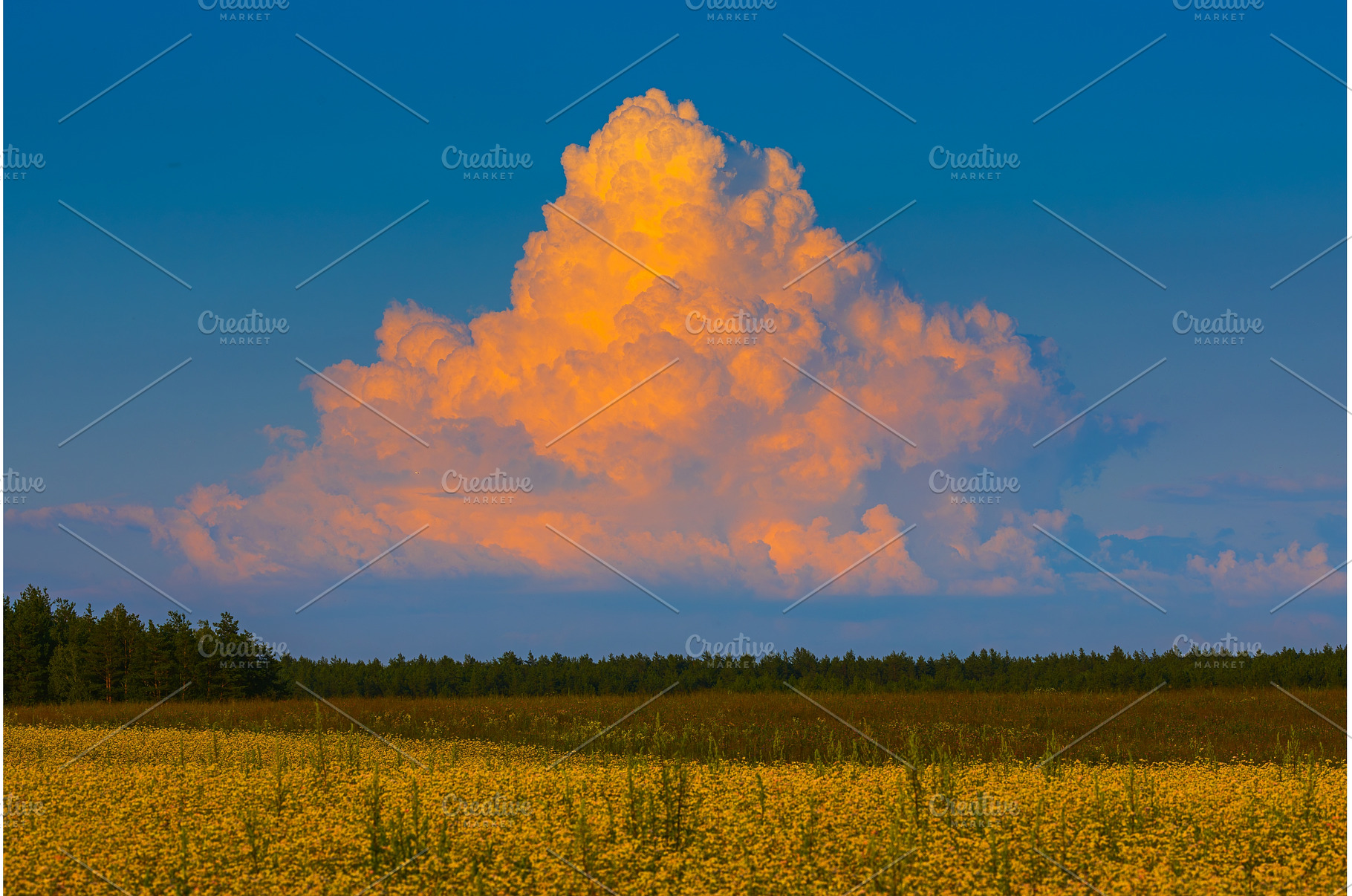 Cumulonimbus storm cloud in the, a Nature Photo by Lukas Jonaitis SHOP