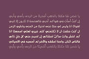Aqlaam - Arabic Typeface, a Sans Serif Font by Mostafa El Abasiry (Thumbnail 11 of 11)