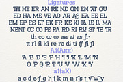 Normanet - Font Family, a Slab Serif Font by NDNL Studio (Thumbnail 14 of 14)
