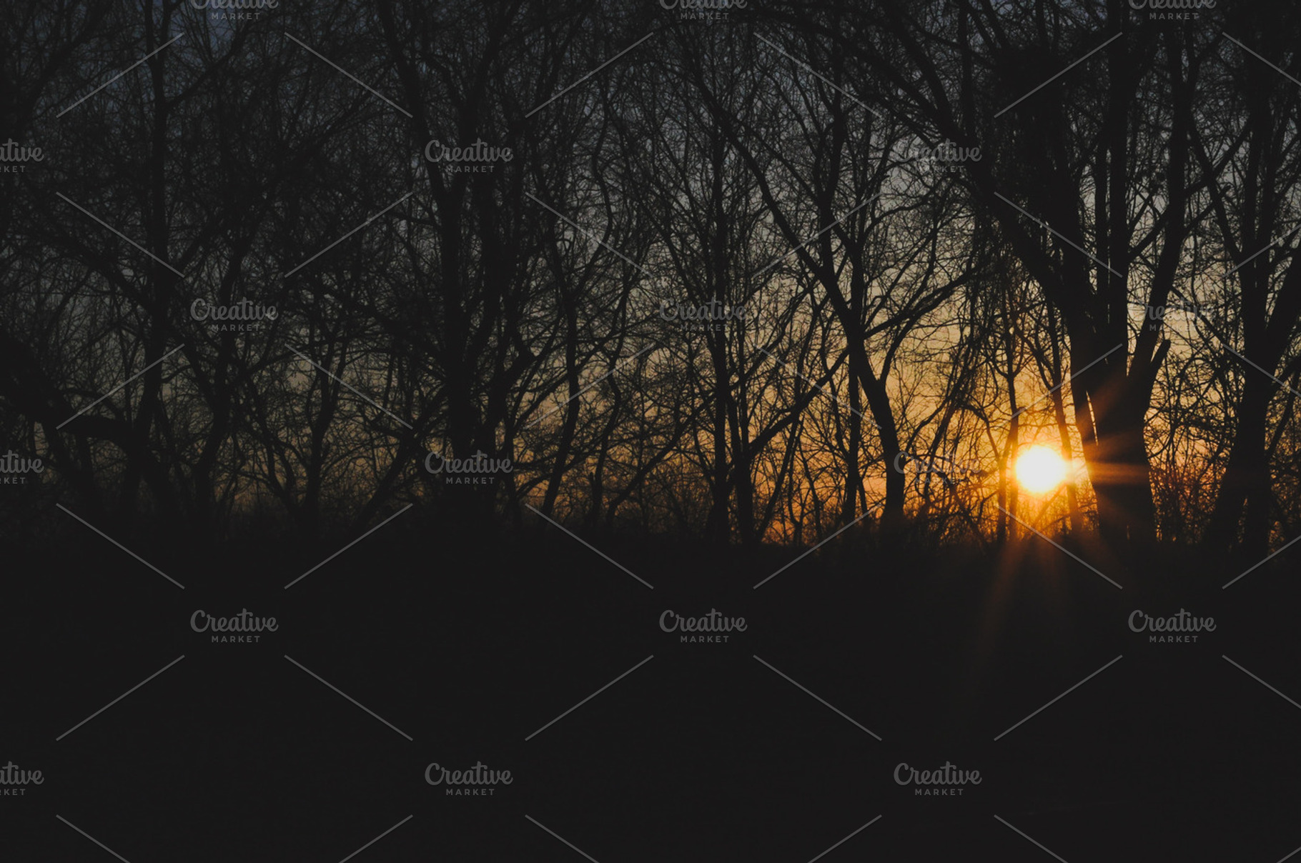 Dark Sunset