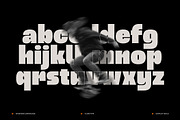 Wosker - Bold Font, a Sans Serif Font by limitype (Thumbnail 4 of 10)
