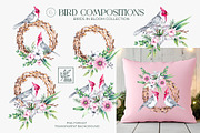 Birds in Bloom Watercolor Floral set, an Animal Illustration by SashaKondr (Thumbnail 9 of 17)